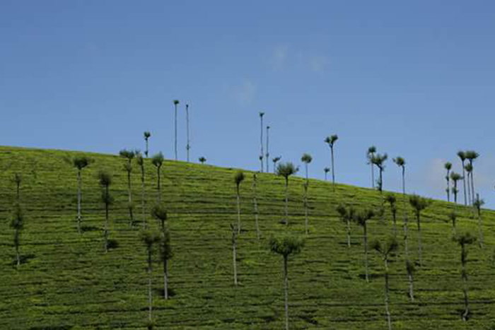 Montelago Location & Surroundings